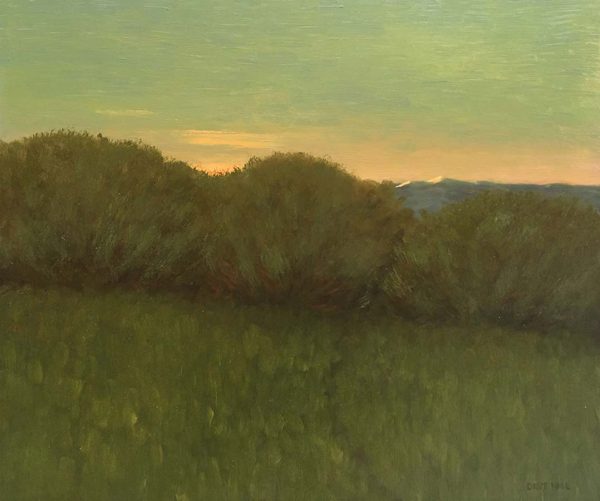 Walk at First Light by Dave Hall