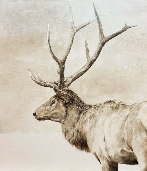 Wapiti Wonder by September Vhay