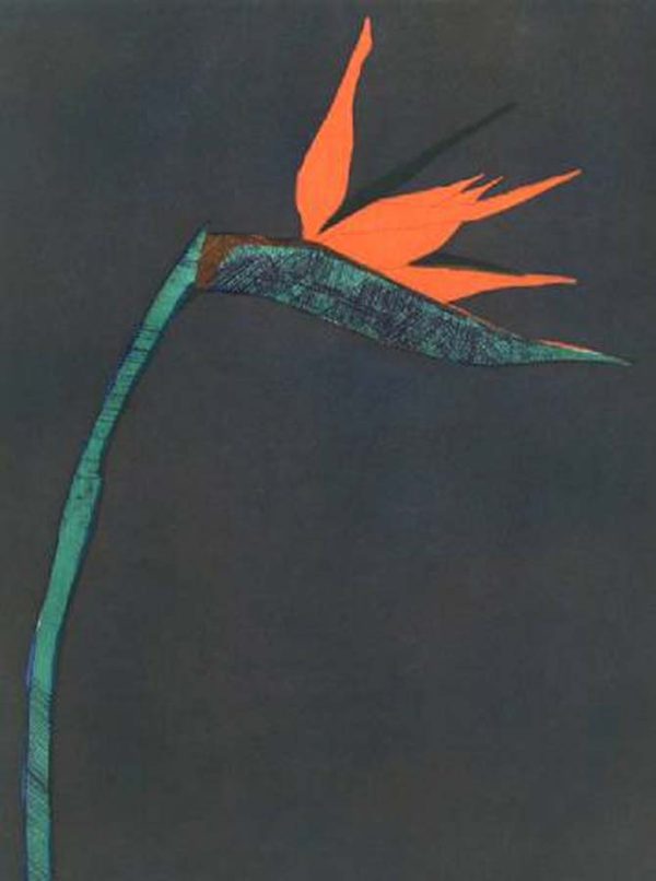 Flower at Barcelona by Fritz Scholder