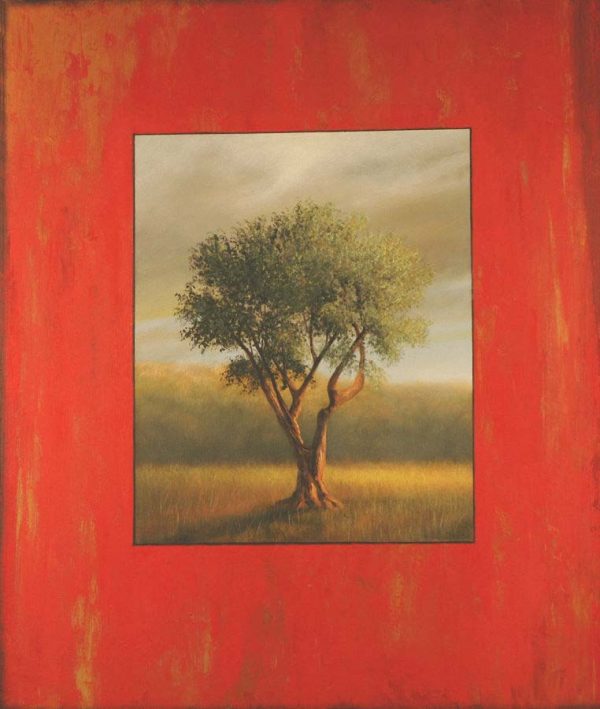 Olive Tree 3 by Scott Duce