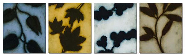 Perceptions #1-4 by Brad Durham