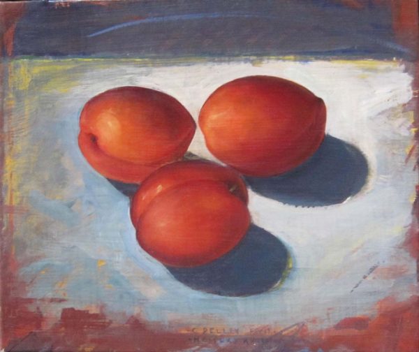 Technique Study Nectarine by Christopher Pelley